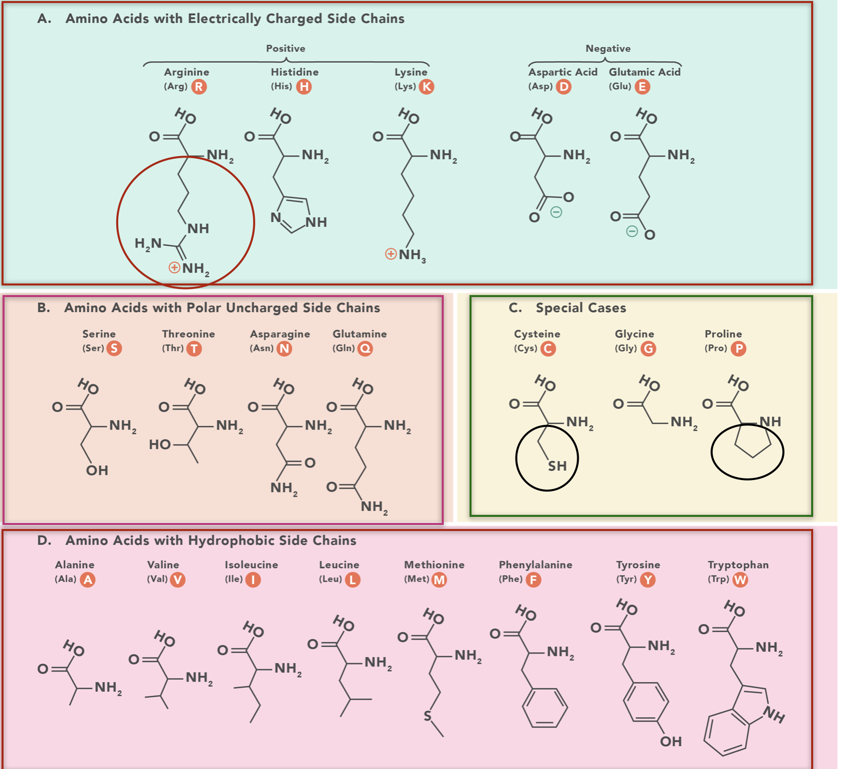 A group of images of different types of molecules

Description automatically generated with medium confidence